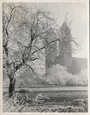 Fotograf: Hickstein, Carmen, Copyright: 1