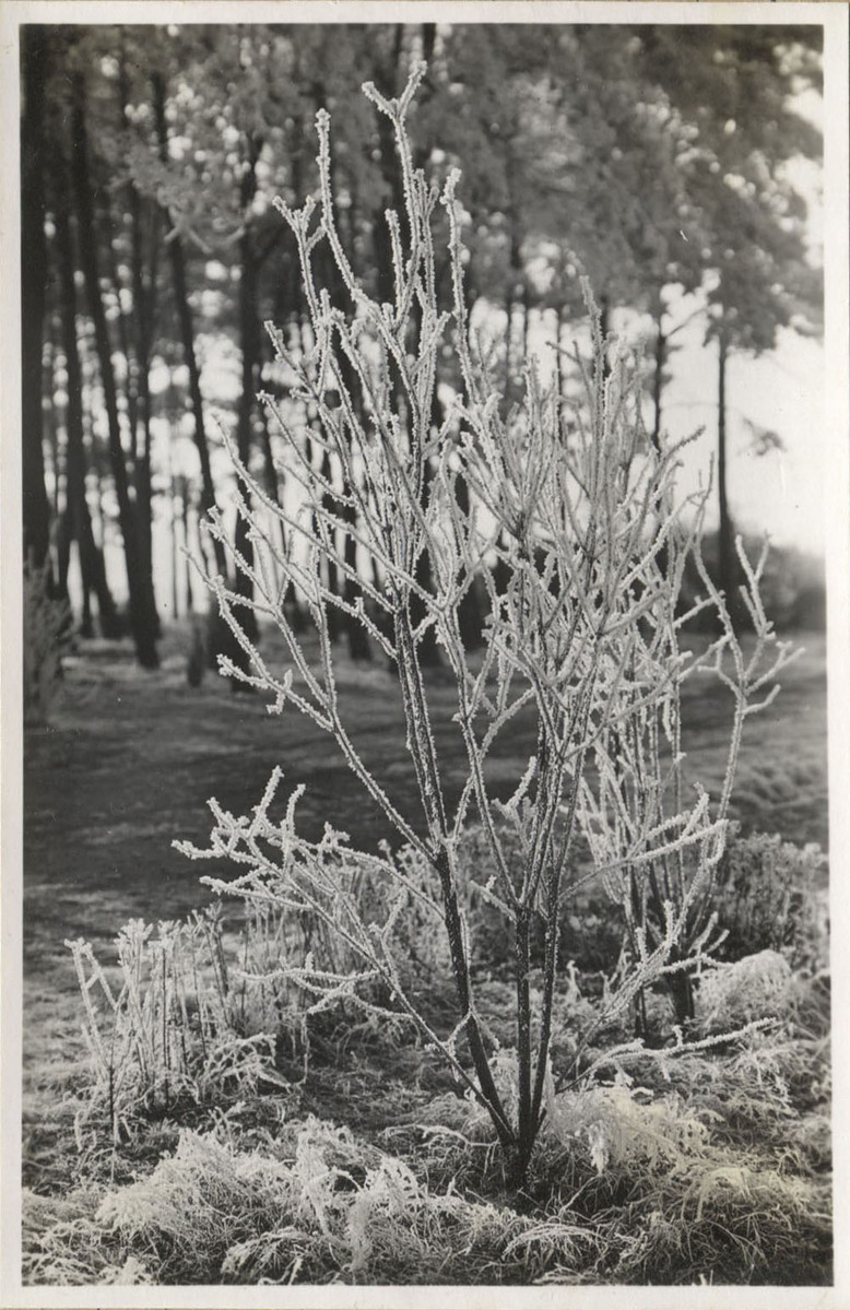 Fotograf: Hickstein, Carmen, Copyright: 1