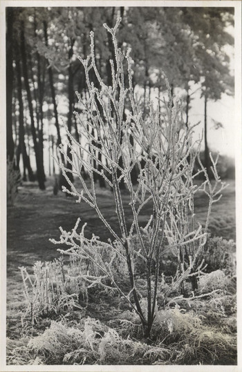 Fotograf: Hickstein, Carmen, Copyright: 1