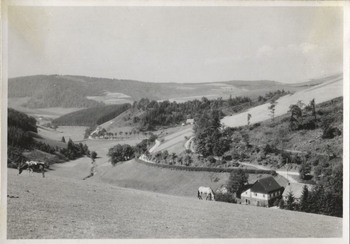 Fotograf: Hickstein, Carmen, Copyright: 1