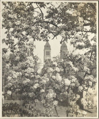 Fotograf: Hickstein, Carmen, Copyright: 1