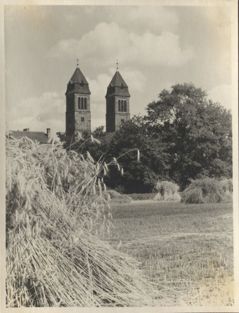 Fotograf: Hickstein, Carmen, Copyright: 1
