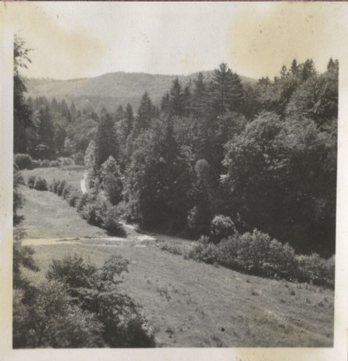 Fotograf: Hickstein, Carmen, Copyright: 1