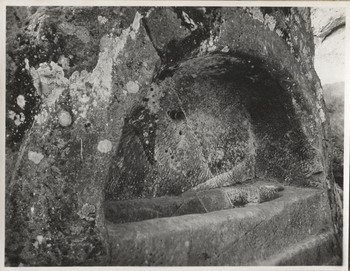 Fotograf: Hickstein, Carmen, Copyright: 1