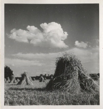 Fotograf: Hickstein, Carmen, Copyright: 1