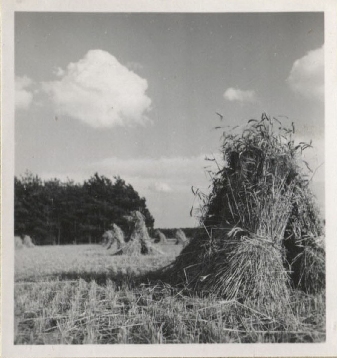 Fotograf: Hickstein, Carmen, Copyright: 1