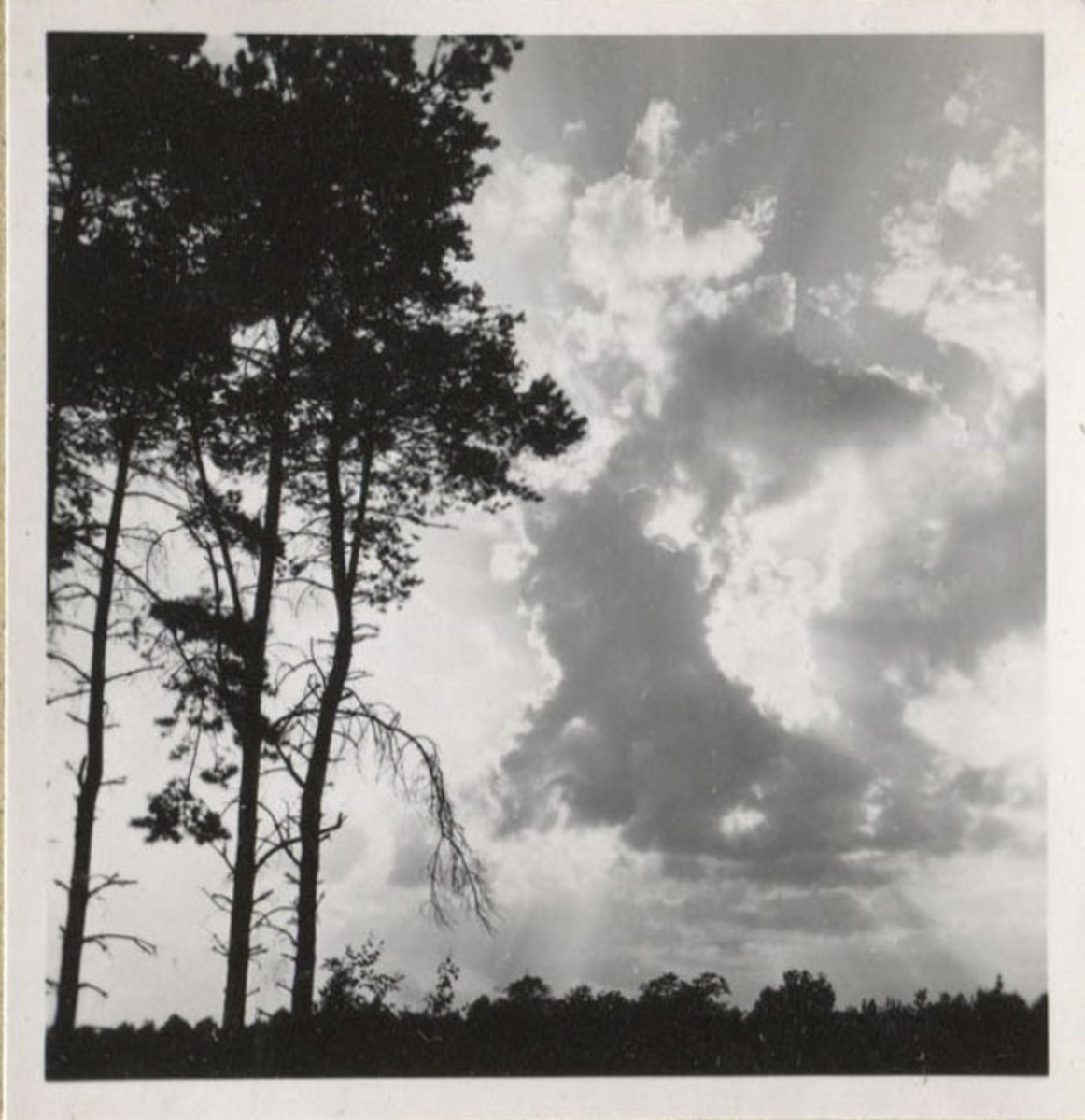 Fotograf: Hickstein, Carmen, Copyright: 1