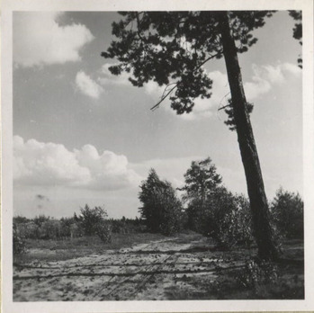 Fotograf: Hickstein, Carmen, Copyright: 1