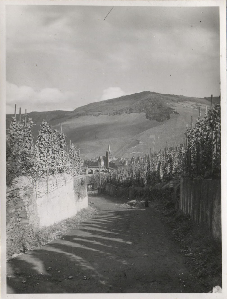 Fotograf: Hickstein, Carmen, Copyright: 1