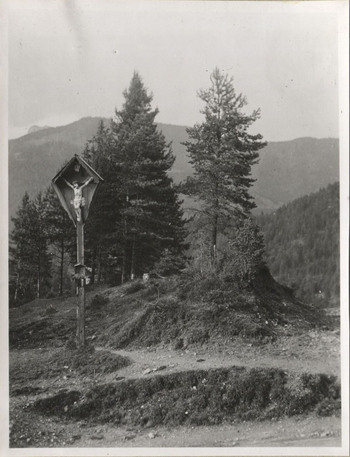 Fotograf: Hickstein, Carmen, Copyright: 1