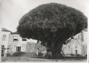 Fotograf: Hickstein, Carmen, Copyright: 1