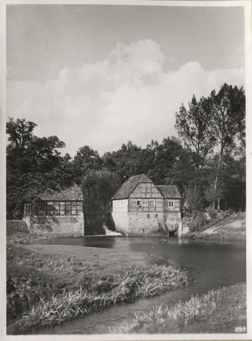 Fotograf: Hickstein, Carmen, Copyright: 1