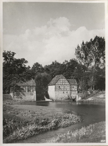 Fotograf: Hickstein, Carmen, Copyright: 1