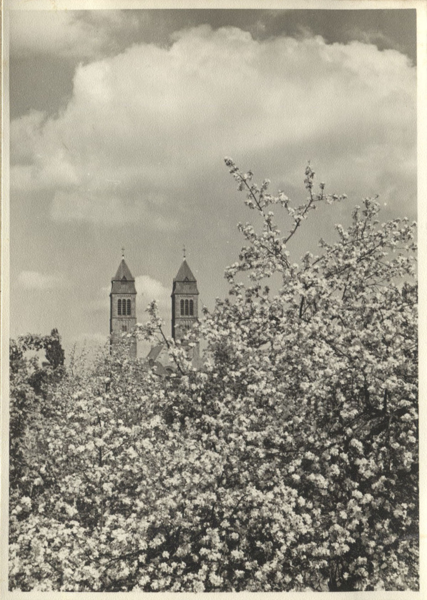 Fotograf: Hickstein, Carmen, Copyright: 1