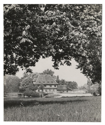 Fotograf: Hickstein, Carmen, Copyright: 1