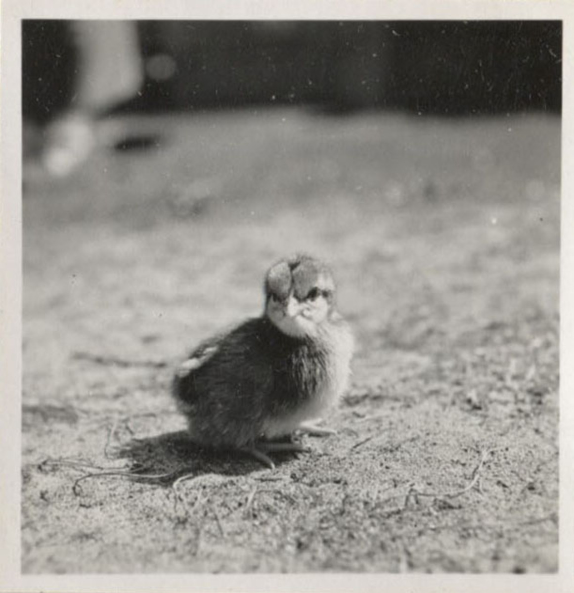 Fotograf: Hickstein, Carmen, Copyright: 1