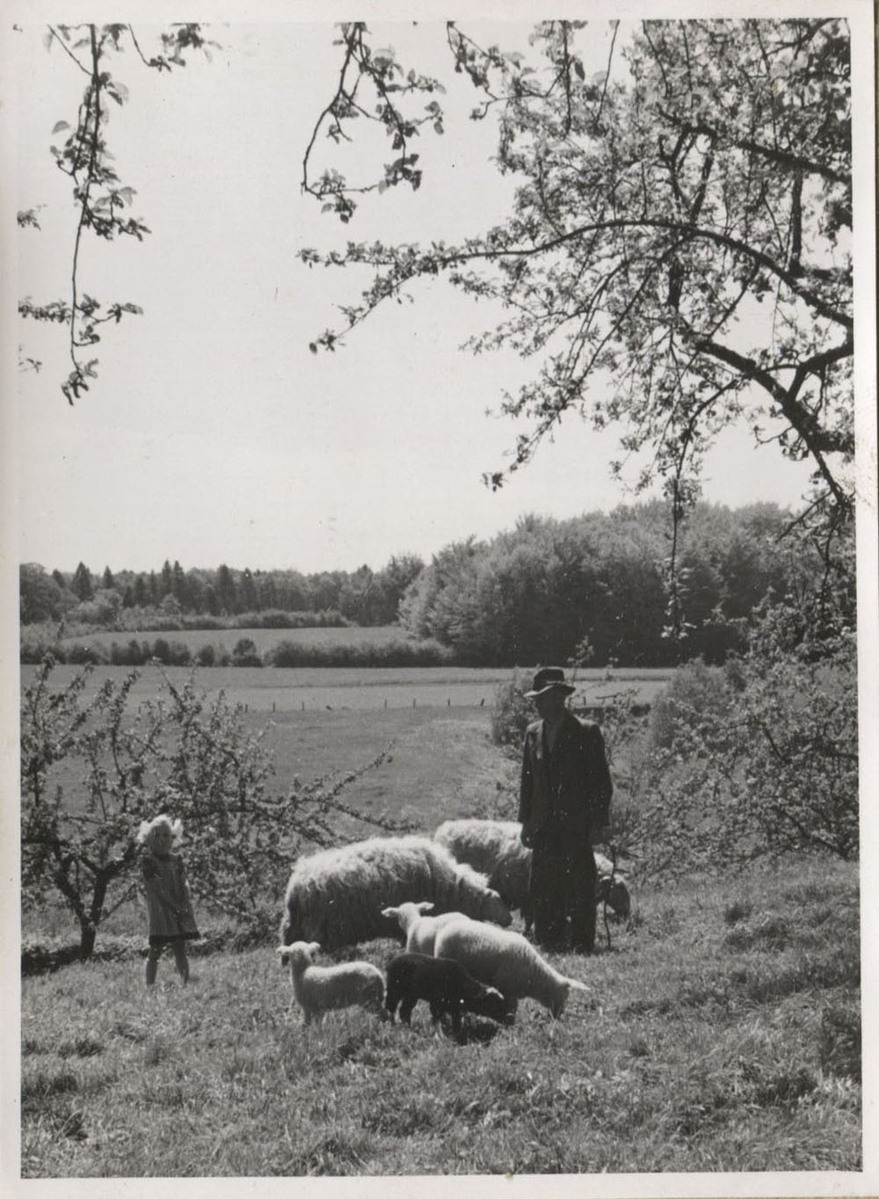 Fotograf: Hickstein, Carmen, Copyright: 1