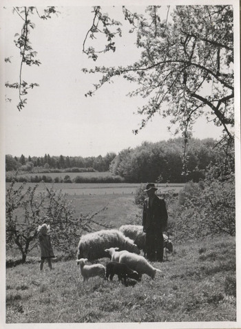 Fotograf: Hickstein, Carmen, Copyright: 1