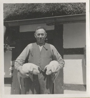 Fotograf: Hickstein, Carmen, Copyright: 1