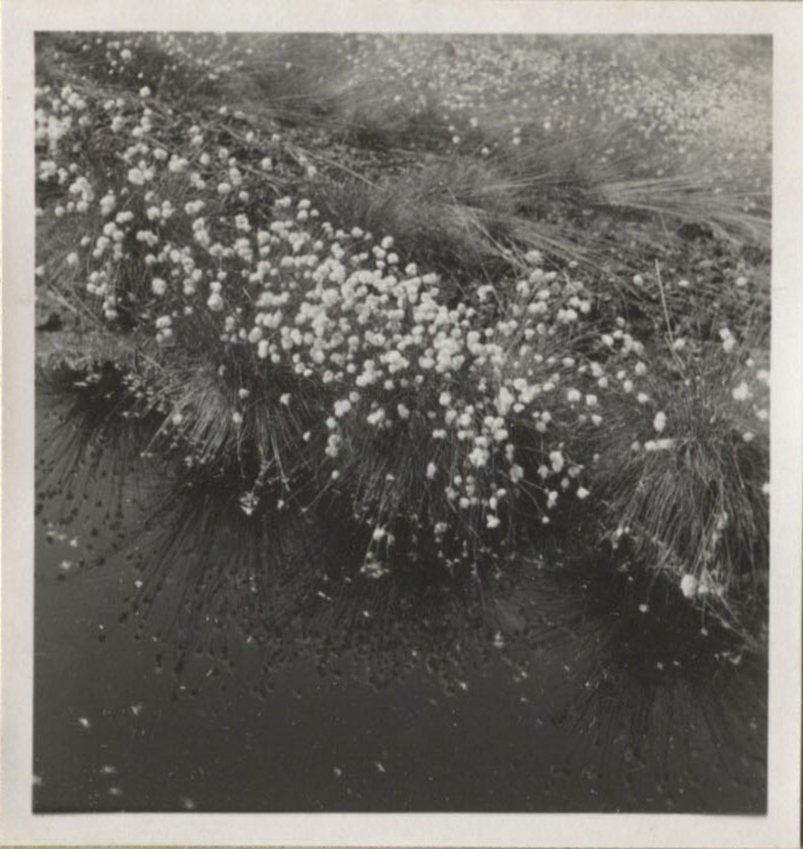 Fotograf: Hickstein, Carmen, Copyright: 1