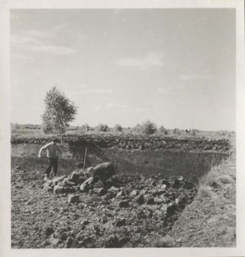 Fotograf: Hickstein, Carmen, Copyright: 1