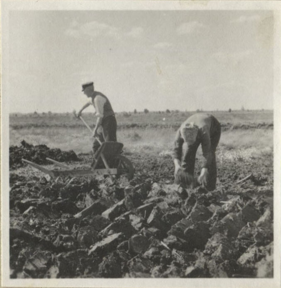 Fotograf: Hickstein, Carmen, Copyright: 1