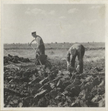 Fotograf: Hickstein, Carmen, Copyright: 1