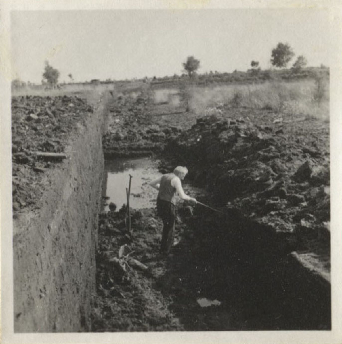 Fotograf: Hickstein, Carmen, Copyright: 1