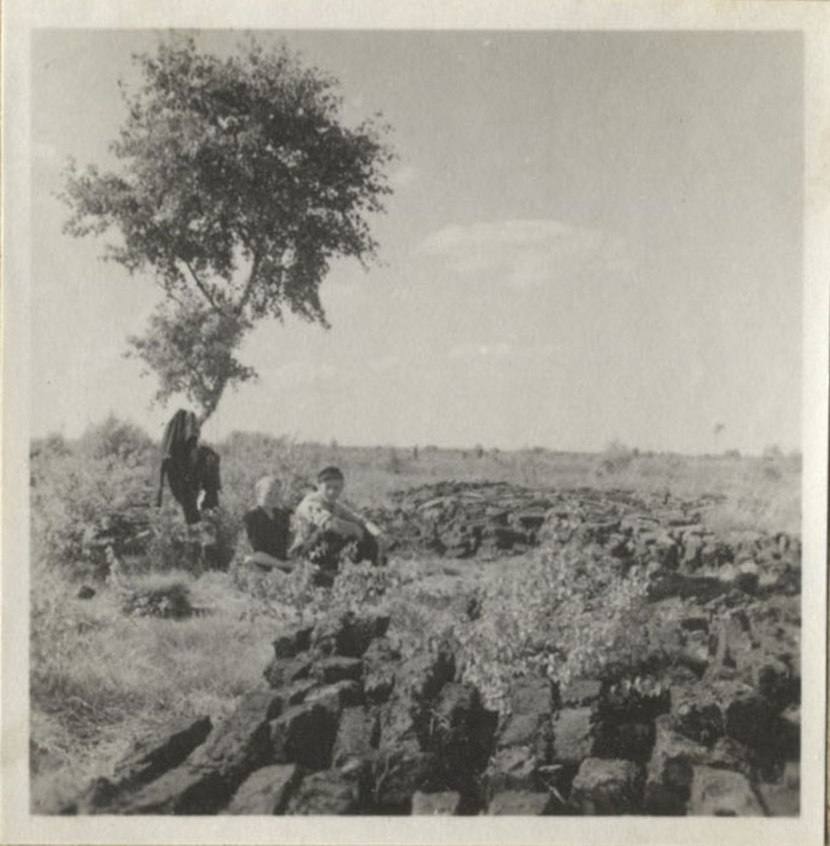 Fotograf: Hickstein, Carmen, Copyright: 1