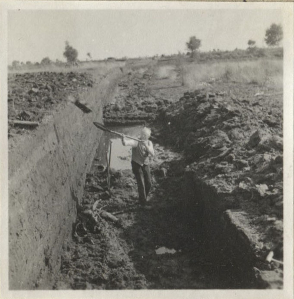 Fotograf: Hickstein, Carmen, Copyright: 1