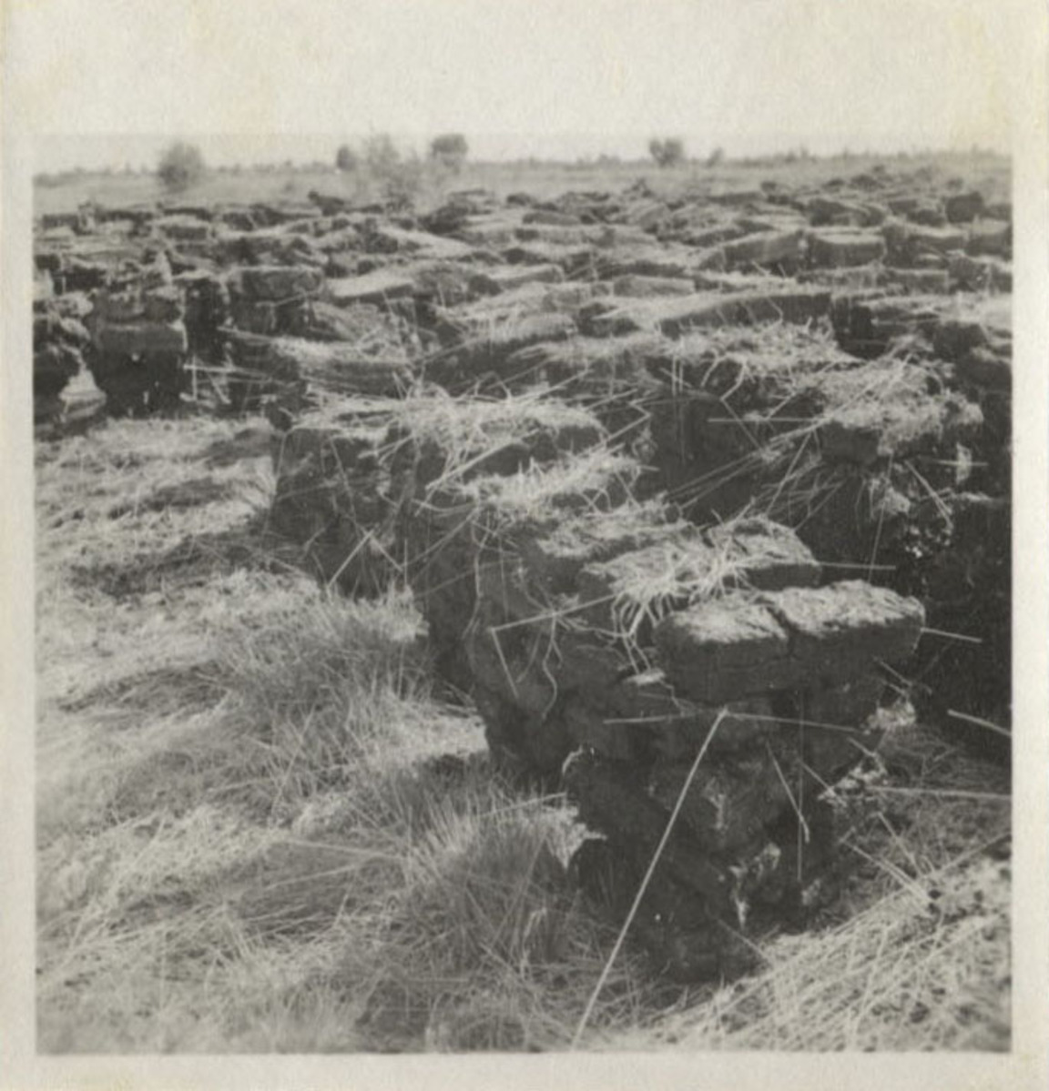 Fotograf: Hickstein, Carmen, Copyright: 1