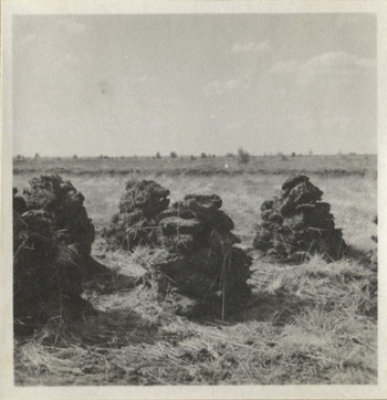 Fotograf: Hickstein, Carmen, Copyright: 1