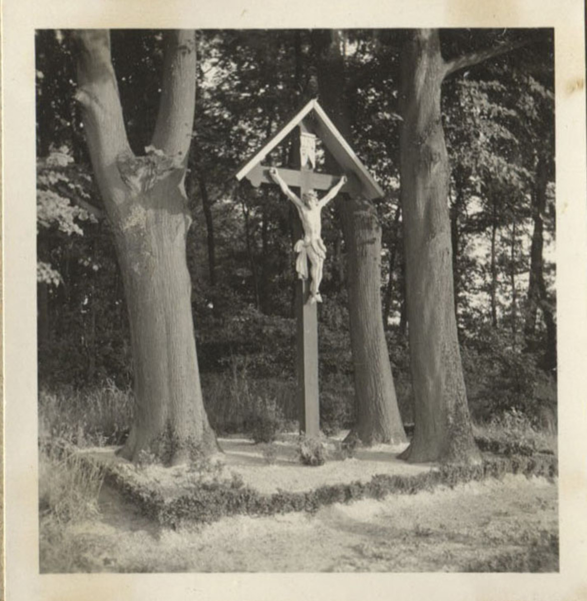 Fotograf: Hickstein, Carmen, Copyright: 1