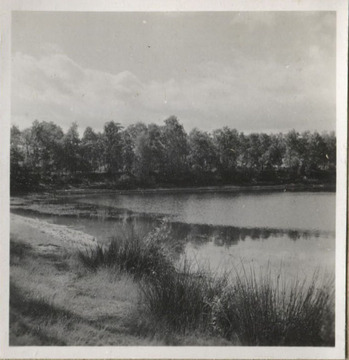 Fotograf: Hickstein, Carmen, Copyright: 1