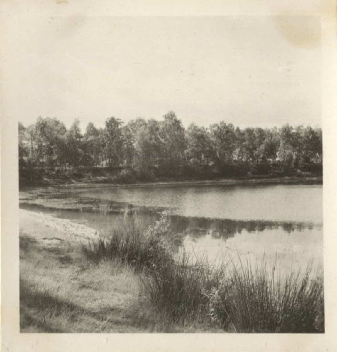 Fotograf: Hickstein, Carmen, Copyright: 1