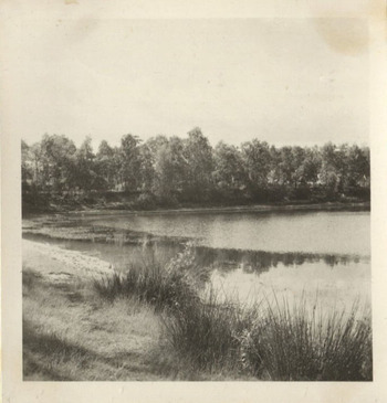 Fotograf: Hickstein, Carmen, Copyright: 1