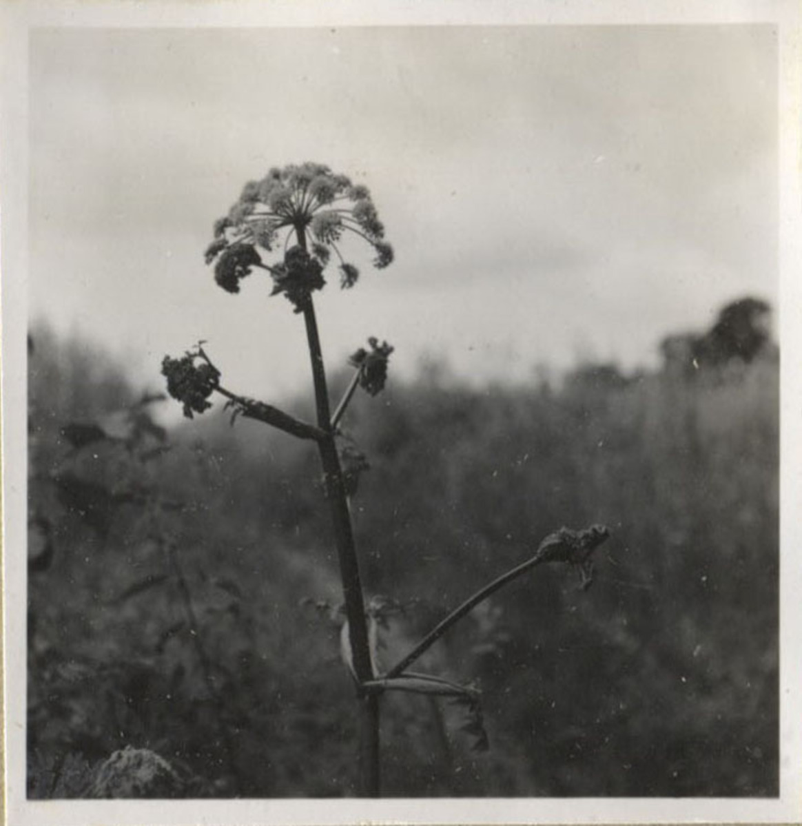 Fotograf: Hickstein, Carmen, Copyright: 1