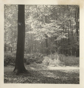 Fotograf: Hickstein, Carmen, Copyright: 1