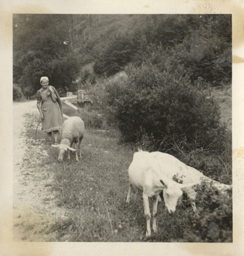 Fotograf: Hickstein, Carmen, Copyright: 1