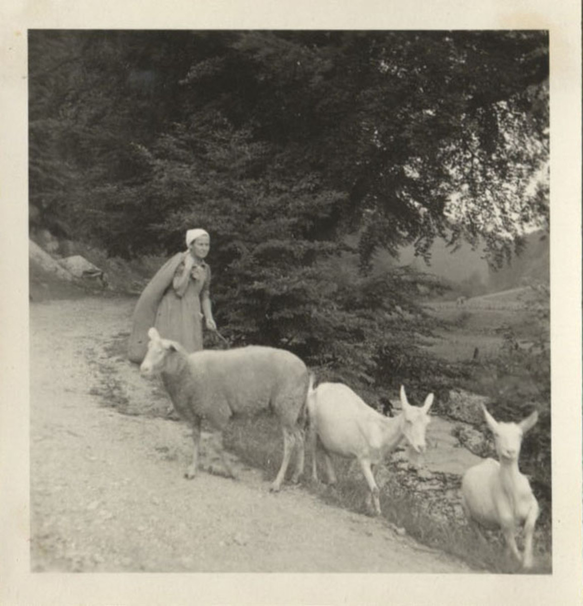 Fotograf: Hickstein, Carmen, Copyright: 1