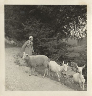 Fotograf: Hickstein, Carmen, Copyright: 1