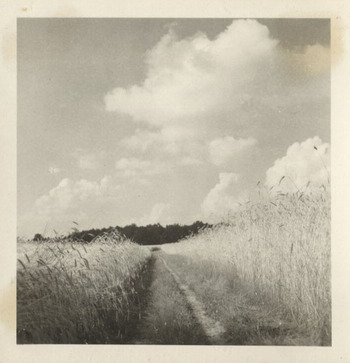 Photographer: Hickstein, Carmen, Copyright: 1