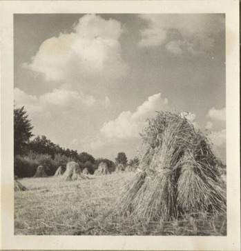 Fotograf: Hickstein, Carmen, Copyright: 1