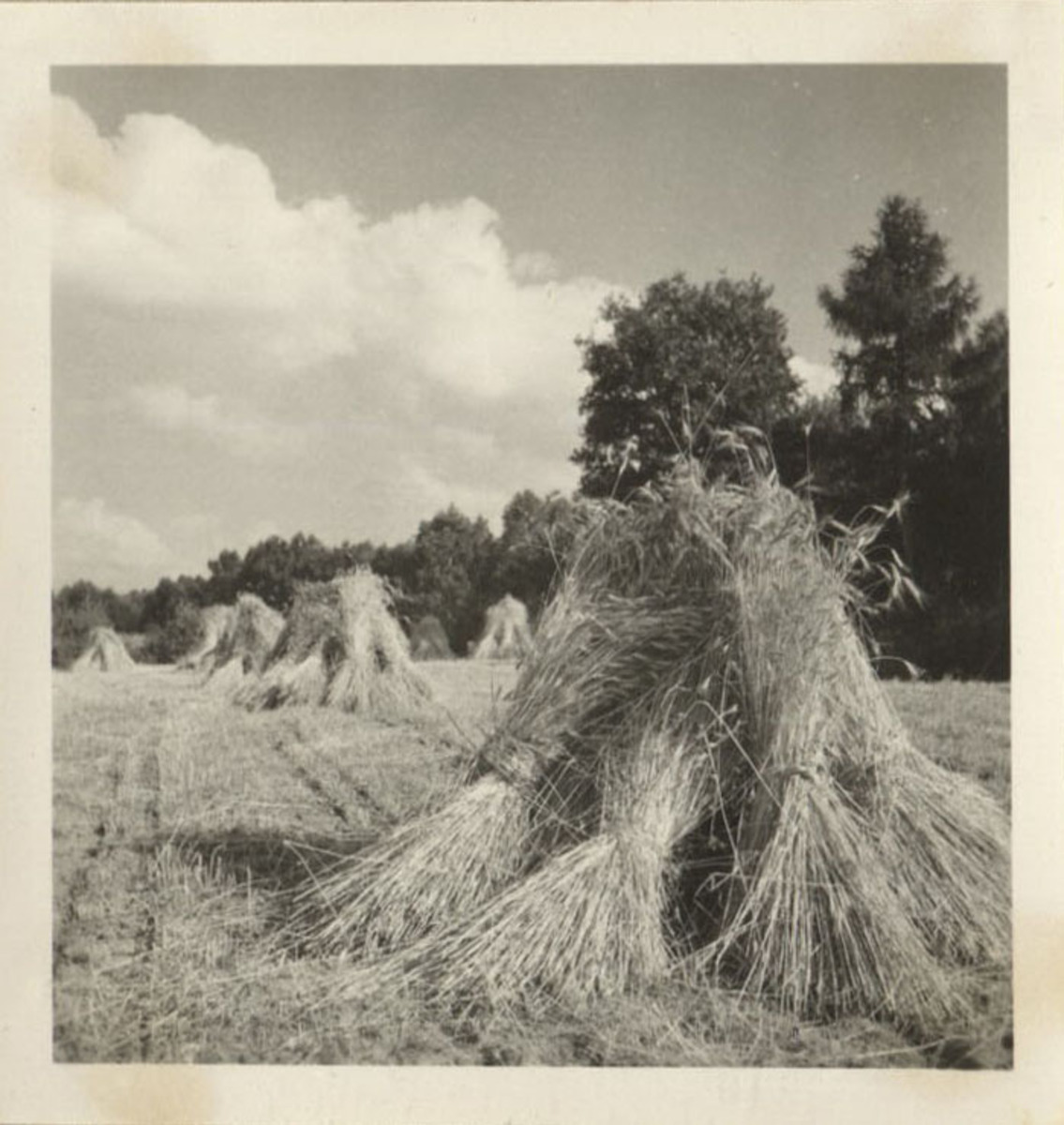 Fotograf: Hickstein, Carmen, Copyright: 1