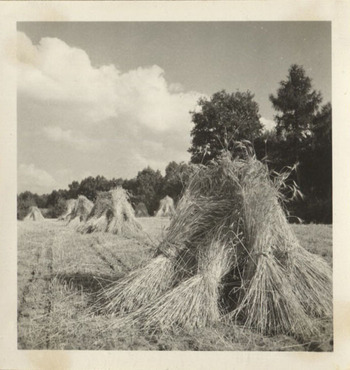 Fotograf: Hickstein, Carmen, Copyright: 1