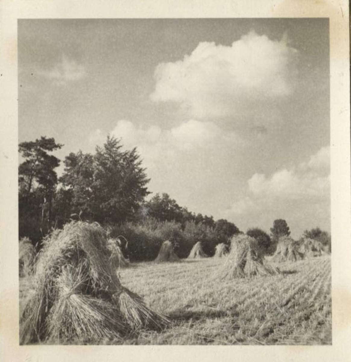 Fotograf: Hickstein, Carmen, Copyright: 1