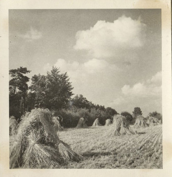 Fotograf: Hickstein, Carmen, Copyright: 1