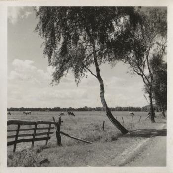 Fotograf: Hickstein, Carmen, Copyright: 1