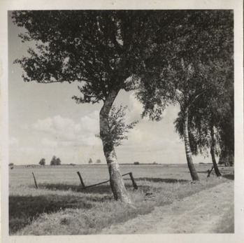 Fotograf: Hickstein, Carmen, Copyright: 1