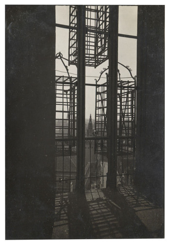 Fotograf: Hickstein, Carmen, Copyright: 1